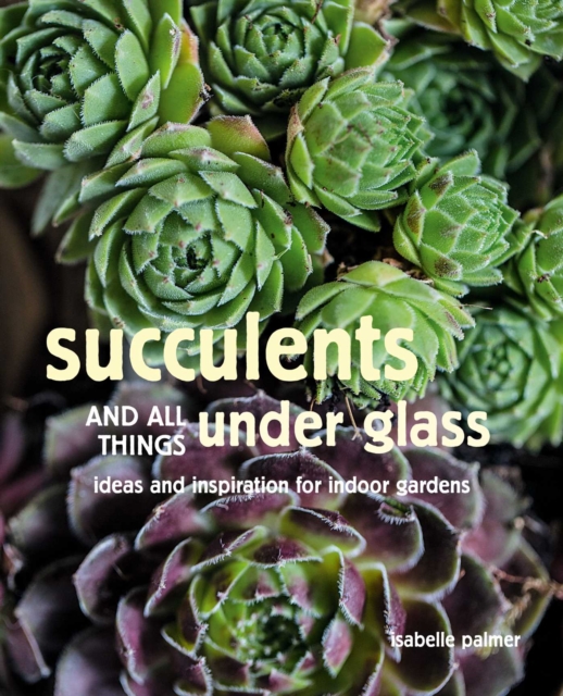 Succulents and All things Under Glass : Ideas and Inspiration for Indoor Gardens, Hardback Book