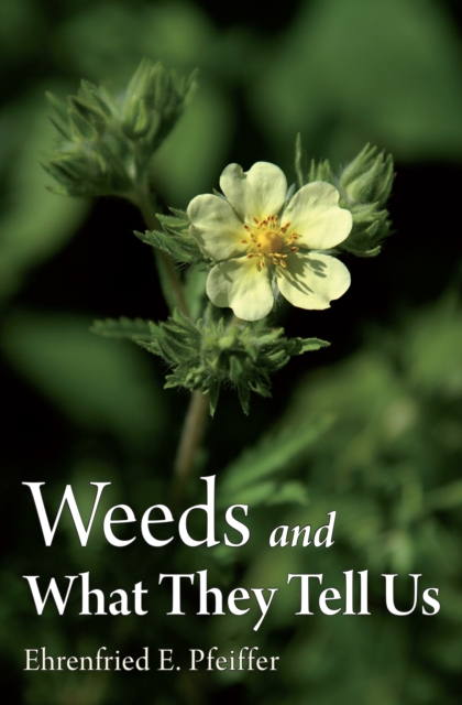 Weeds and What They Tell Us, EPUB eBook
