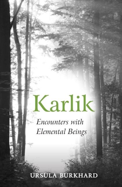 Karlik : Encounters with Elemental Beings, EPUB eBook