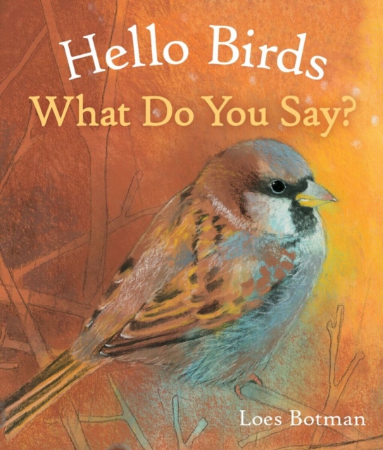 Hello Birds, What Do You Say?, Board book Book