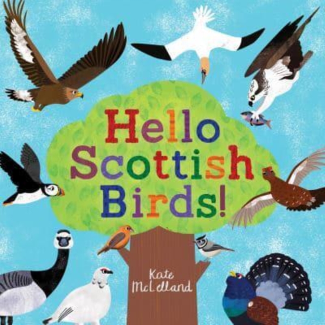 Hello Scottish Birds, Paperback / softback Book