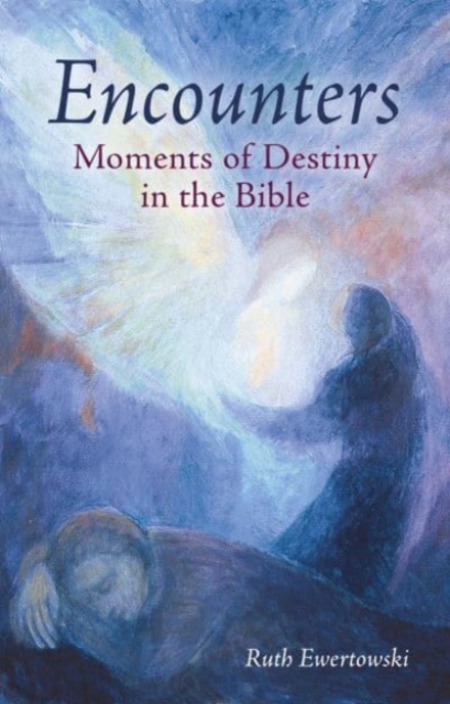Encounters: Moments of Destiny in the Bible, Paperback / softback Book