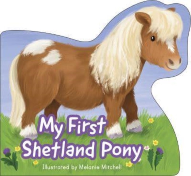 My First Shetland Pony, Board book Book