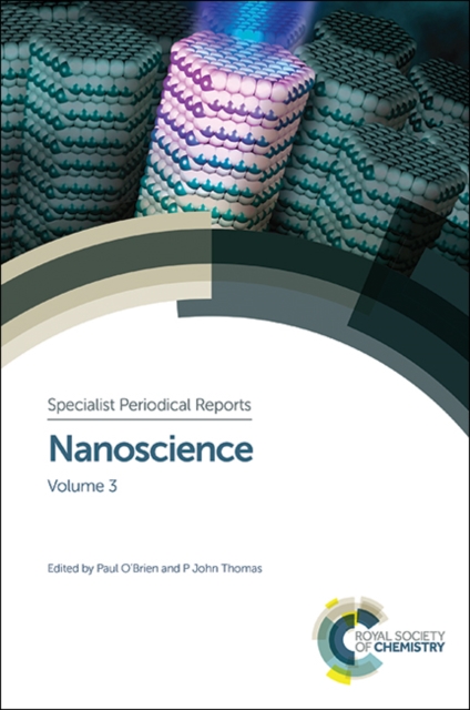 Nanoscience : Volume 3, PDF eBook