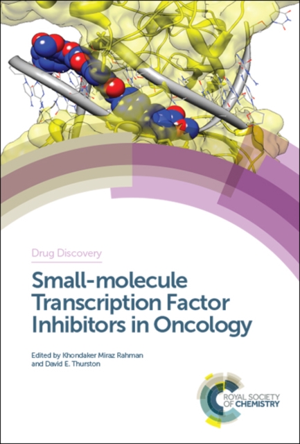 Small-molecule Transcription Factor Inhibitors in Oncology, PDF eBook