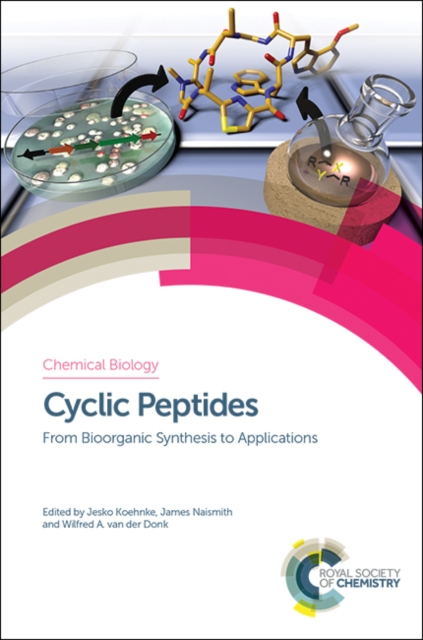 Cyclic Peptides : From Bioorganic Synthesis to Applications, Hardback Book