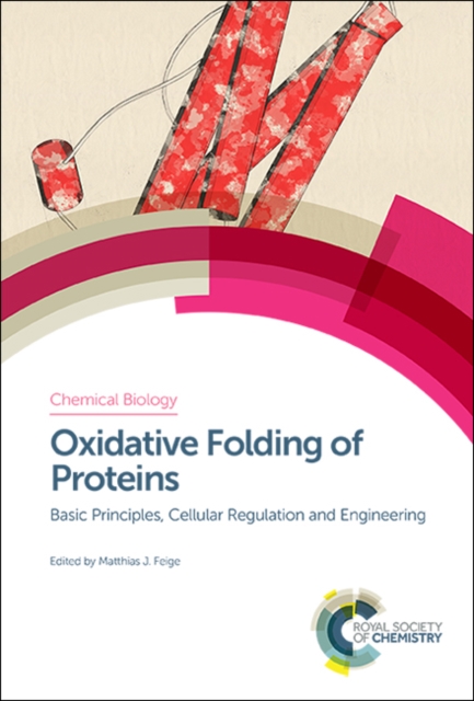 Oxidative Folding of Proteins : Basic Principles, Cellular Regulation and Engineering, Hardback Book