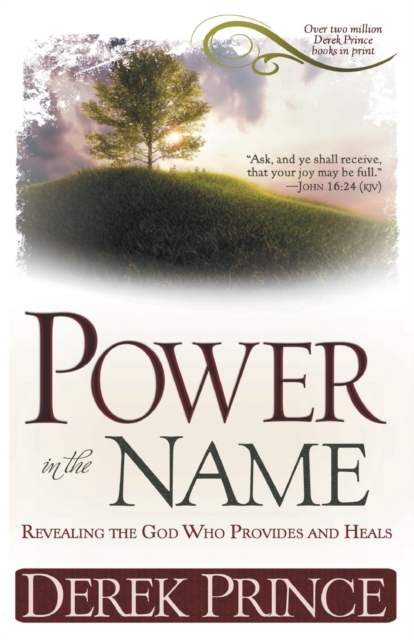 Power in the Name, Paperback / softback Book