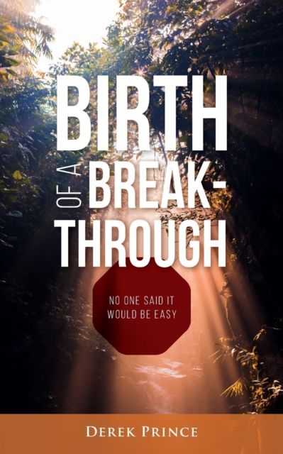 Birth of a Breakthrough : No One Said It Would Be Easy, Paperback / softback Book