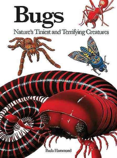 Bugs : Nature's Tiniest and Terrifying Creatures, Paperback / softback Book
