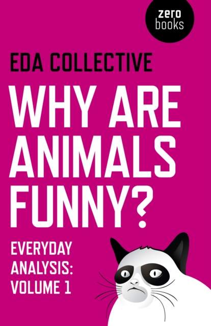 Why are Animals Funny? - Everyday Analysis - Volume 1, Paperback / softback Book