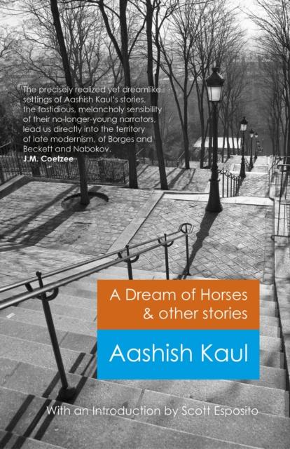 Dream of Horses & Other Stories, A, Paperback / softback Book