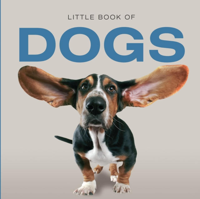 Little Book of Dogs, Hardback Book