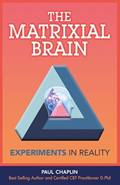 The Matrixial Brain : Experiments in Reality, Paperback / softback Book