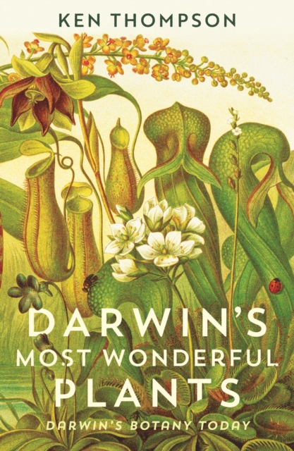 Darwin's Most Wonderful Plants : Darwin's Botany Today, EPUB eBook