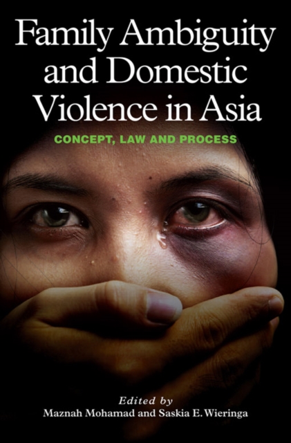 Family Ambiguity and Domestic Violence in Asia, PDF eBook