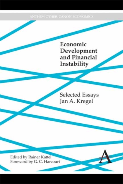 Economic Development and Financial Instability : Selected Essays, Hardback Book