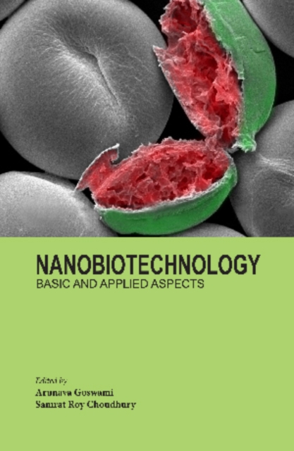 Nanobiotechnology : Basic and Applied Aspects, PDF eBook