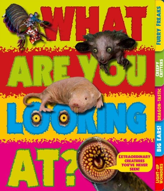 What Are You Looking At? : Extraordinary creatures you've never seen!, Paperback / softback Book