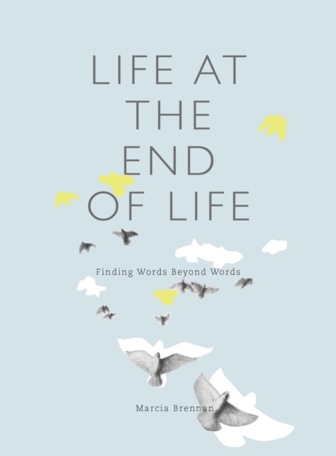 Life at the End of Life : Finding Words Beyond Words, PDF eBook