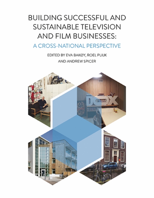 Building Successful and Sustainable Film and Television Businesses : A Cross-National Perspective, EPUB eBook