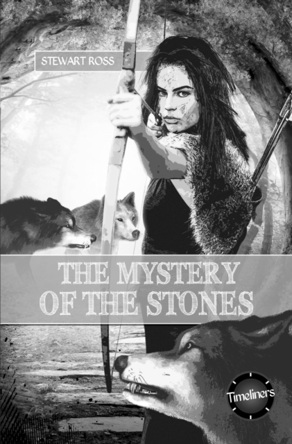 The Mystery of the Stones, Paperback / softback Book