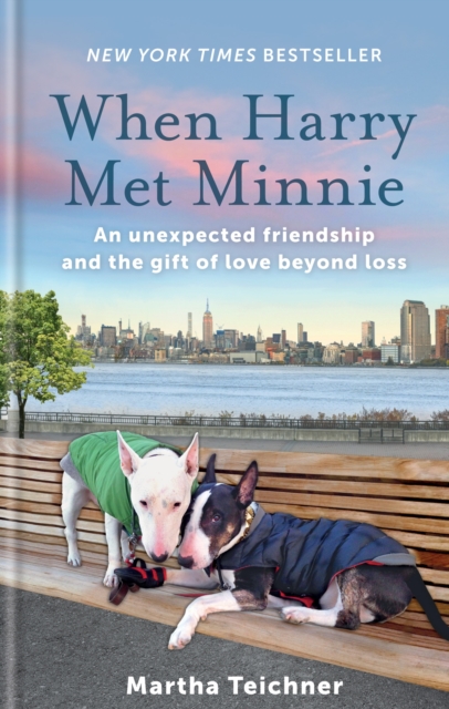 When Harry Met Minnie : An unexpected friendship and the gift of love beyond loss, EPUB eBook