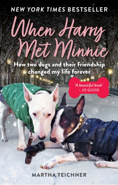 When Harry Met Minnie : An unexpected friendship and the gift of love beyond loss, Paperback / softback Book