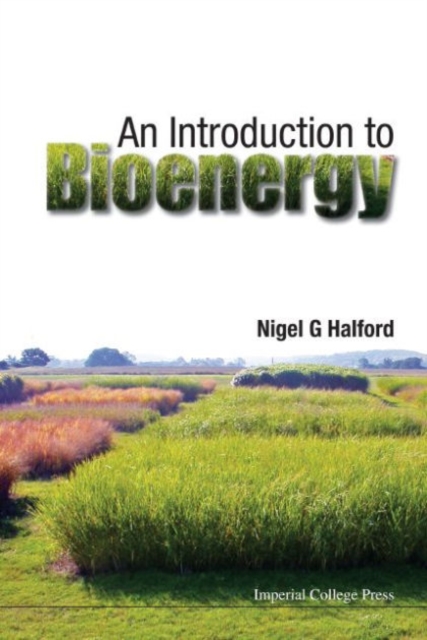 Introduction To Bioenergy, An, Paperback / softback Book