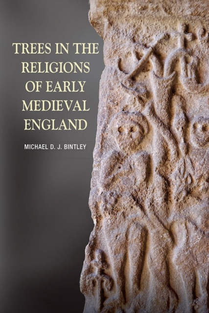 Trees in the Religions of Early Medieval England, Paperback / softback Book