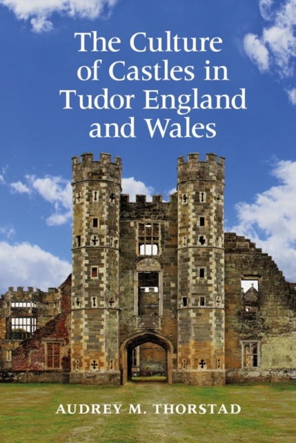 The Culture of Castles in Tudor England and Wales, Hardback Book