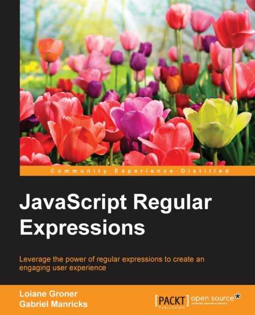 JavaScript Regular Expressions, Paperback / softback Book