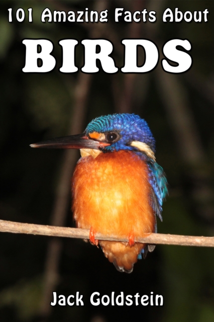 101 Amazing Facts About Birds, EPUB eBook