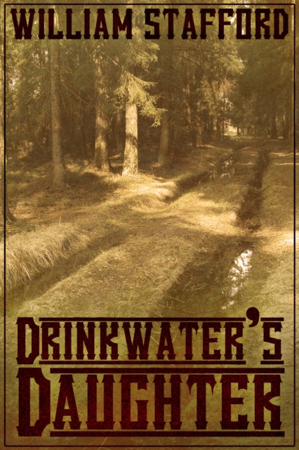 Drinkwaters Daughter : A Tale of Highwaymen, EPUB eBook