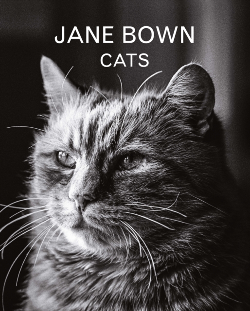 Jane Bown: Cats, Hardback Book