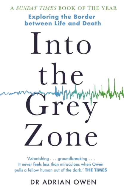 Into the Grey Zone : Exploring the Border Between Life and Death, Paperback / softback Book