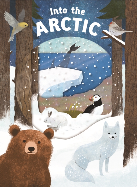 Into the Arctic : Look Closer, Board book Book