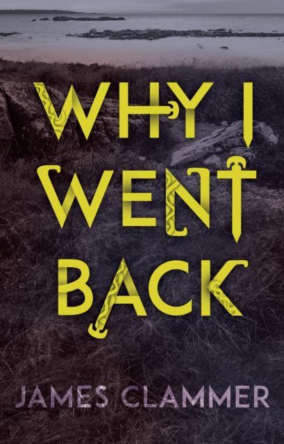 Why I Went Back, Paperback / softback Book