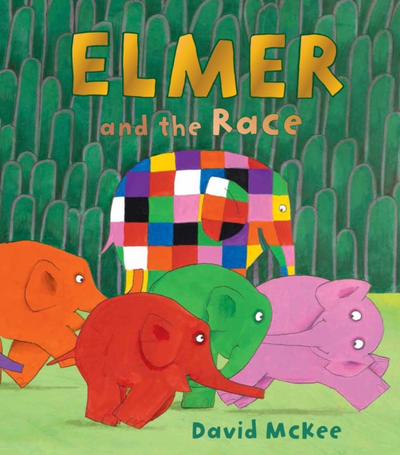 Elmer and the Race, Hardback Book