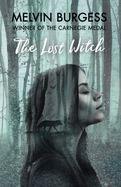 The Lost Witch, Hardback Book