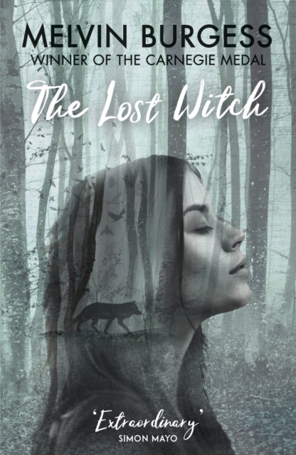 The Lost Witch, Paperback / softback Book