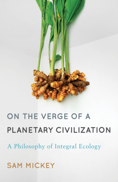On the Verge of a Planetary Civilization : A Philosophy of Integral Ecology, Hardback Book