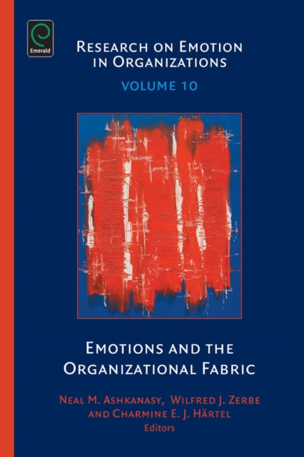 Emotions and the Organizational Fabric, Hardback Book