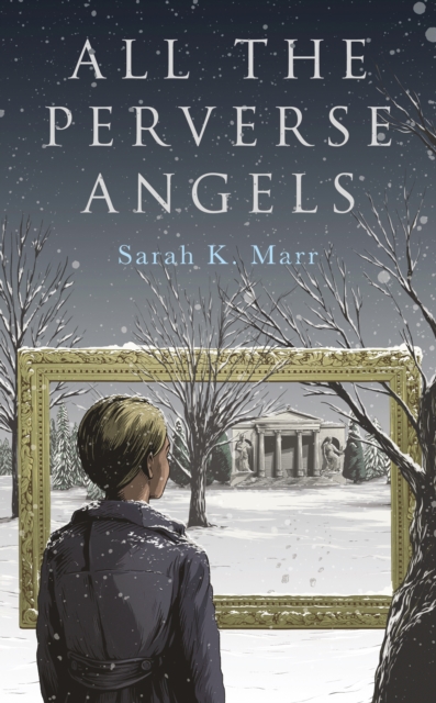 All the Perverse Angels, Hardback Book