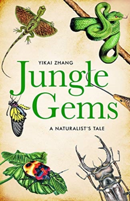Jungle Gems : A Naturalist's Tale, Hardback Book