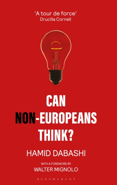 Can Non-Europeans Think?, Paperback / softback Book
