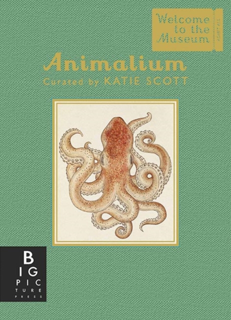 Animalium (Mini Gift Edition), Hardback Book