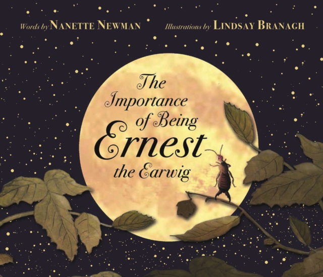 The Importance of Being Ernest the Earwig, Paperback / softback Book