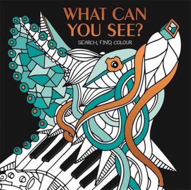 What Can You See? : Hidden picture puzzles to decode and colour., Paperback / softback Book