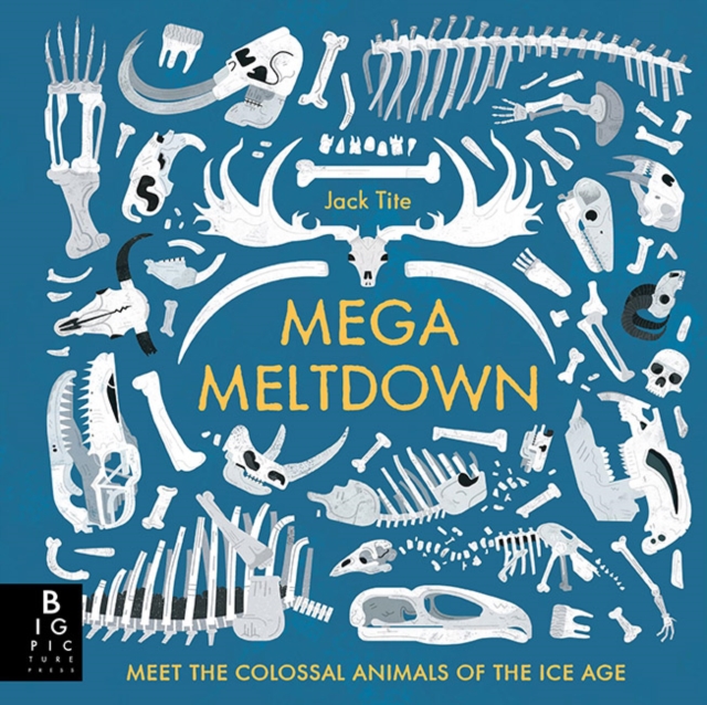 Mega Meltdown, Hardback Book